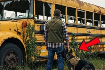 The eviction notice flapped in the wind, pinned to the cracked wooden frame of the door like a final insult. Owen Caldwell stood motionless beneath the weak Florida sun, its warmth unable to reach the chill that had rooted itself deep in his chest.