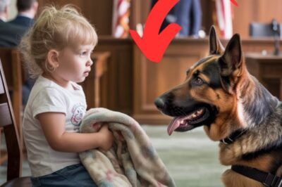 The courtroom buzzed with tension and curiosity. Reporters filled the benches alongside local residents, their eyes bouncing between a uniformed officer, a large German shepherd seated calmly at his side, and the judge presiding over what had become the most unusual case the town of Elmdale had seen in years. The dog, Duke, wasn’t just any dog.