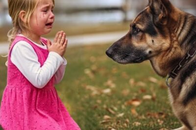 The wind carried the scent of pine and early frost through the sleepy streets of Elk Ridge, Idaho. Leaves rustled across cracked sidewalks as the town stirred to life beneath a pale October sun. Outside the small police station, the park was quiet, save for the soft crunch of boots and the occasional weaves of a well-worn leash.