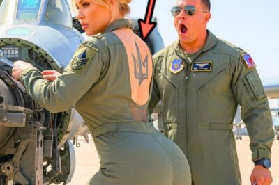 During a naval ceremony honoring SEAL teams, Admiral Blackwood spots a quiet man in a worn jacket standing at the back of the hanger. With a smirk, he calls out to him in front of everyone. What’s your call sign, hero? The crowd laughs as the admiral continues his mockery. The veteran remains silent, eyes fixed on some distant point.